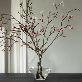 Tulip Magnolia Branches