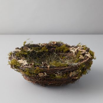 Prairie Bird Nest